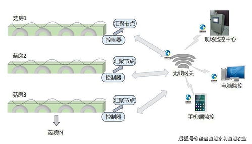 物聯(lián)網(wǎng)技術(shù)賦能產(chǎn)業(yè)升級 四川智能食用菌菇房管理系統(tǒng)助力精準脫貧